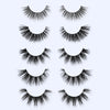 Nichole Ray&#39;s Five Fave