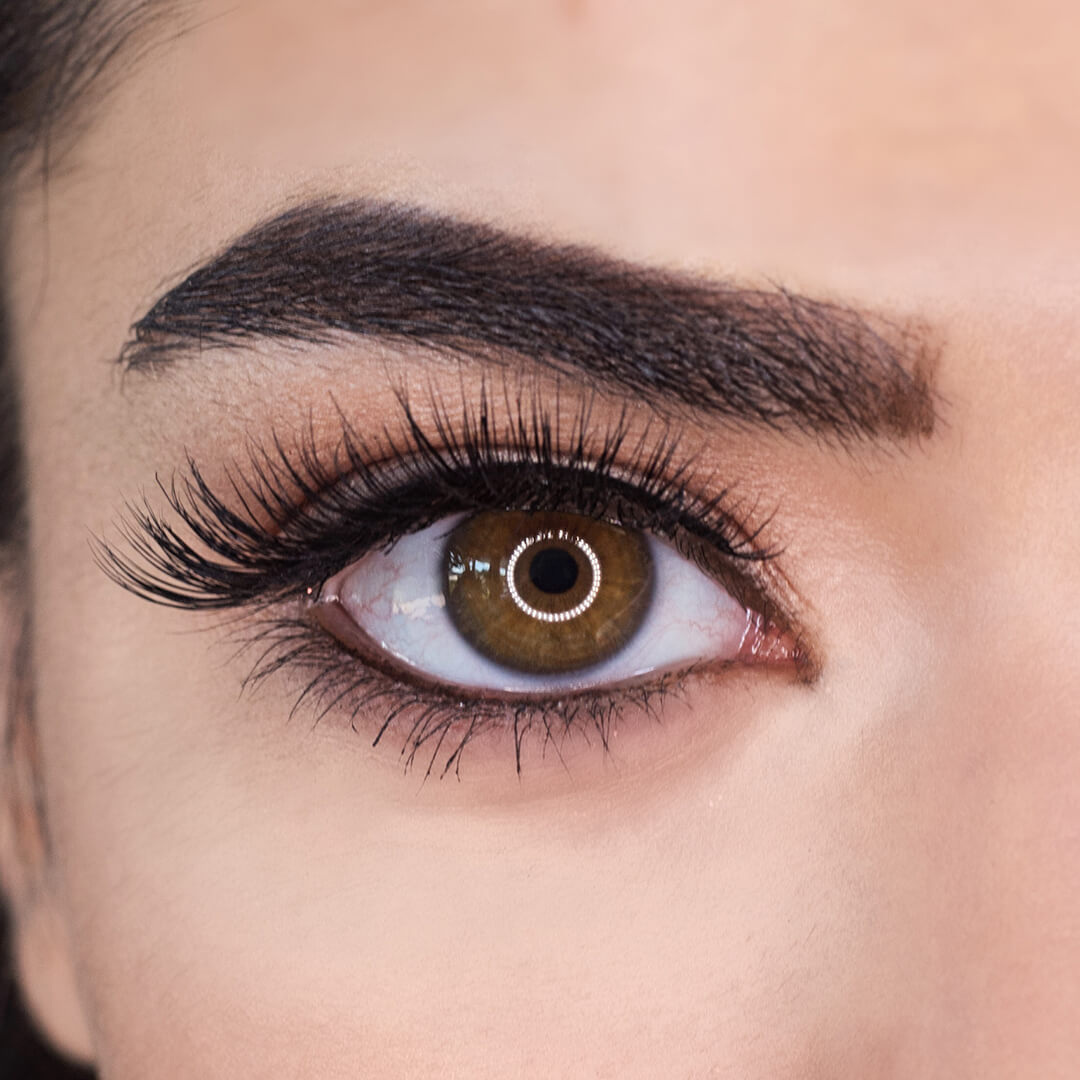 Regal Magnetic Lashes