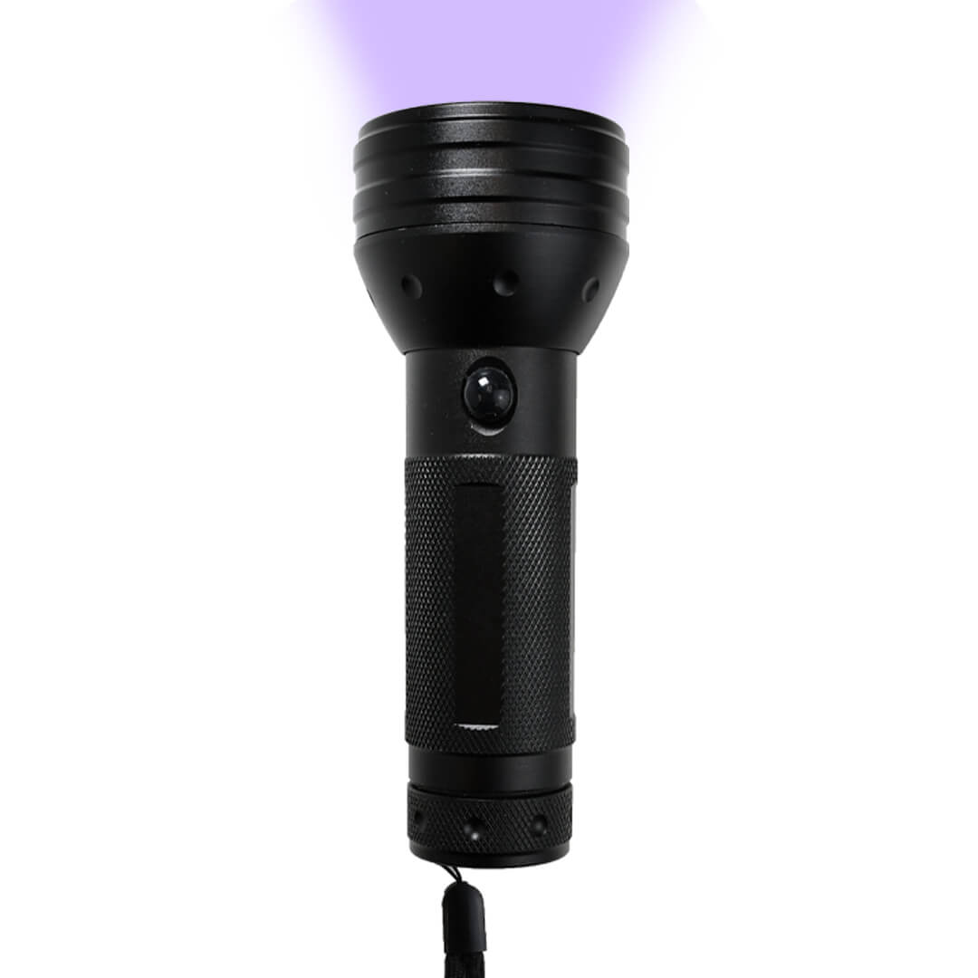 Stargazer UV Flashlight