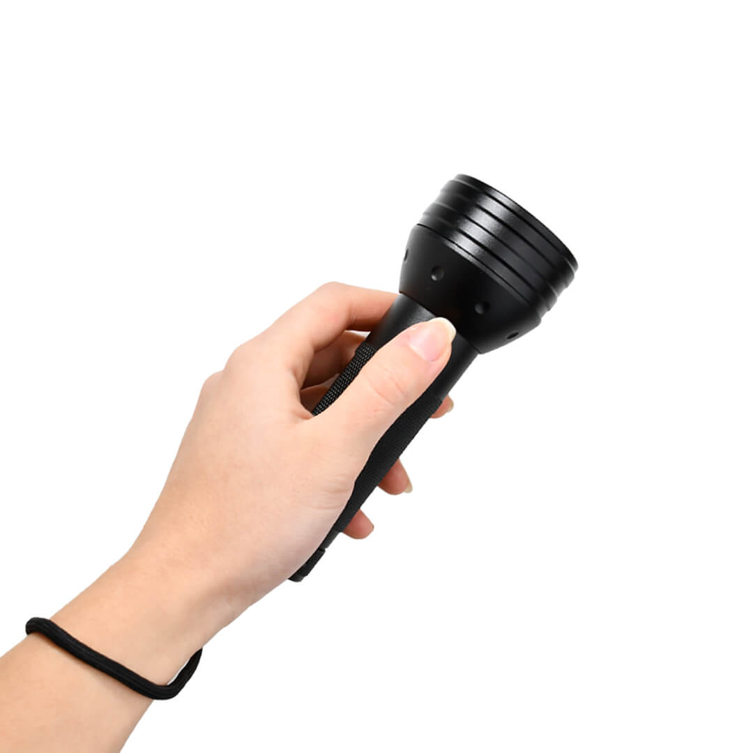 Stargazer UV Flashlight